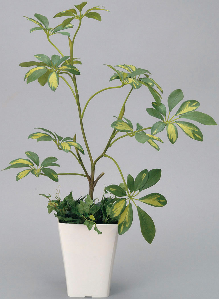 光触媒 人工観葉植物 シェフレラ (高さ68cm)