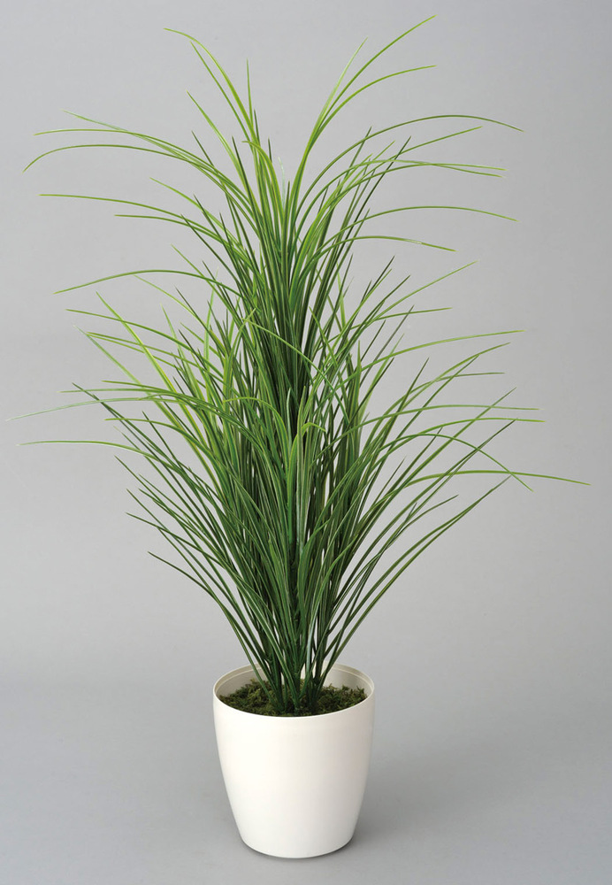 送料無料 グラスツリー ポリ製 人工観葉植物 高さ78cm 光触媒機能付 214c100 店舗用品通販のサインモール 送料無料 グラスツリー ポリ製 人工観葉植物 高さ78cm 光触媒機能付 214c100 店舗用品通販のサインモール