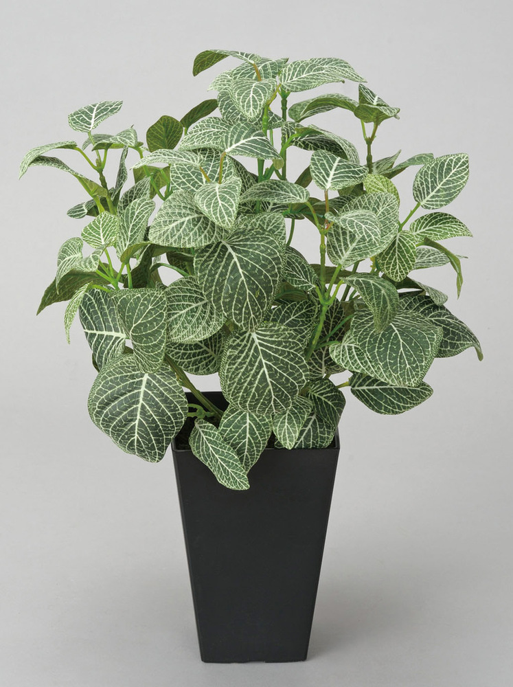 光触媒 人工観葉植物 フィットニア(フロック加工) (高さ43cm)