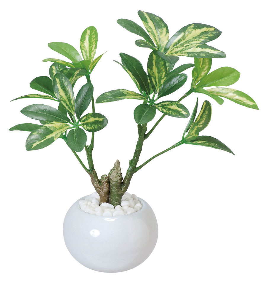 光触媒 人工観葉植物 シェフレラポット (高さ23cm)
