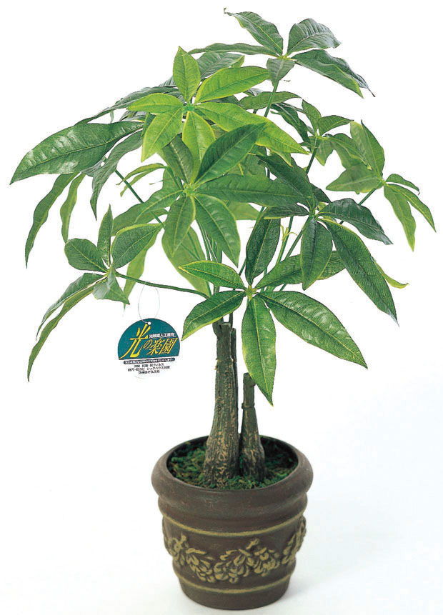 光触媒 人工観葉植物 パキラポットM (高さ41cm)