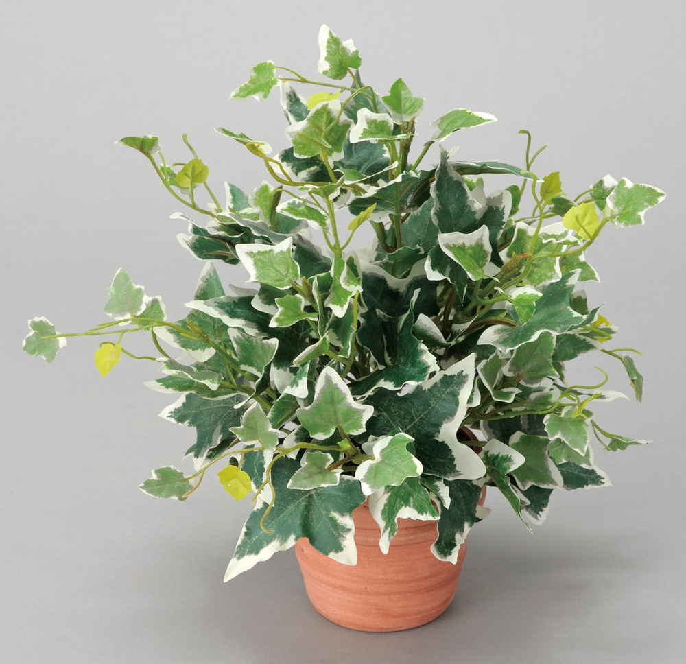 光触媒 人工観葉植物 ホーランドアイビーS (高さ25cm)