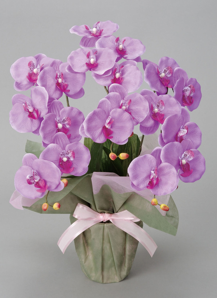 ミディ胡蝶蘭L (造花) 高さ50cm 光触媒機能付 (26A35)