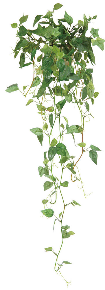 壁掛けフィロ (人工観葉植物) 高さ68cm 光触媒機能付 (272B35)
