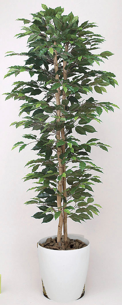 光触媒 人工観葉植物 ベンジャミンスリム1.6 (高さ160cm)