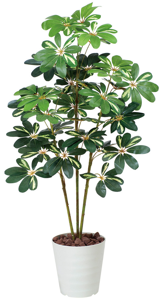 光触媒 人工観葉植物 カポック斑入り1.2 (高さ120cm)