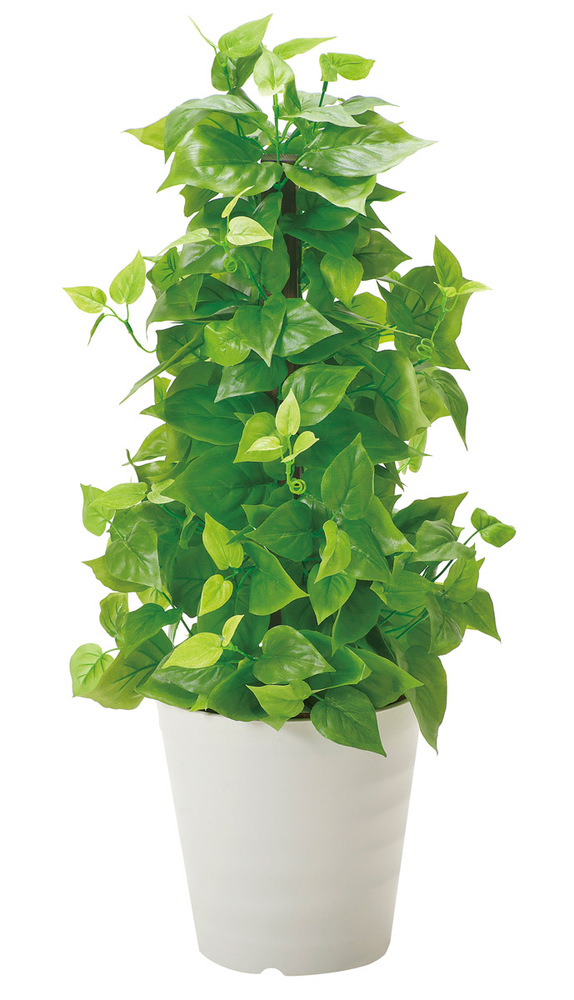 光触媒 人工観葉植物 ポールライムポトス (高さ82cm)