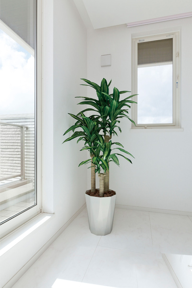 光触媒 人工観葉植物 幸福の木 1.6 (高さ160cm)