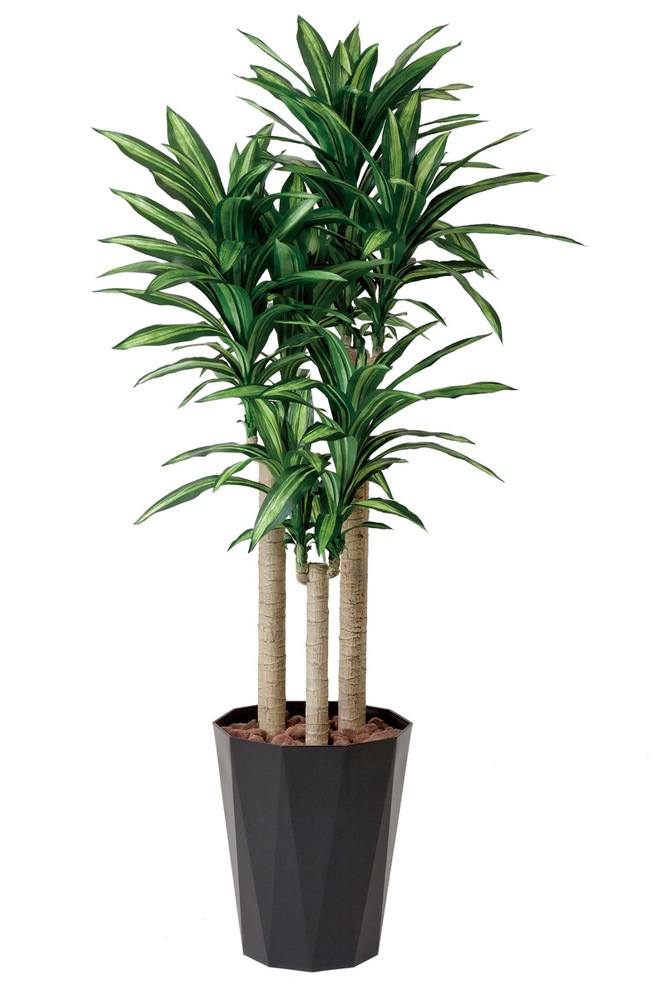 【送料無料】幸福の木 1.8 (人工観葉植物) 高さ180cm 光触媒機能付 (401E400)