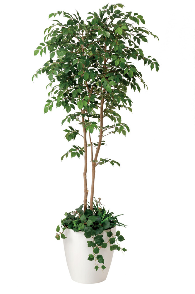 光触媒 人工観葉植物 マウンテンアッシュ1.8植栽付 (高さ180cm)