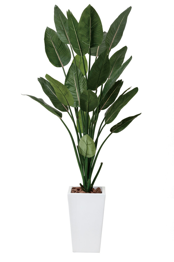 光触媒 人工観葉植物 ストレチアW1.6 (高さ160cm)