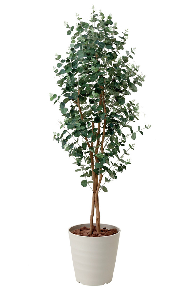 光触媒 人工観葉植物 ユーカリ1.6 (高さ160cm)