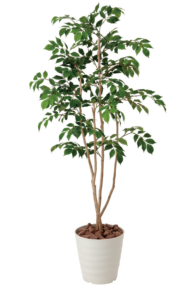 光触媒 人工観葉植物 マウンテンアッシュ1.3 (高さ130cm)