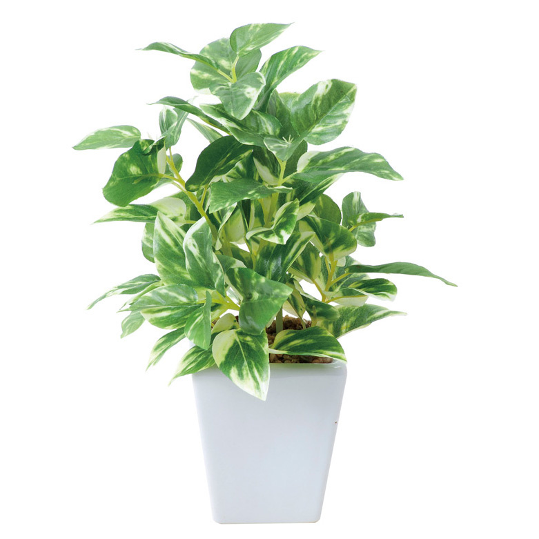 ポトスポット (人工観葉植物) 高さ19cm 光触媒機能付 (434A20)