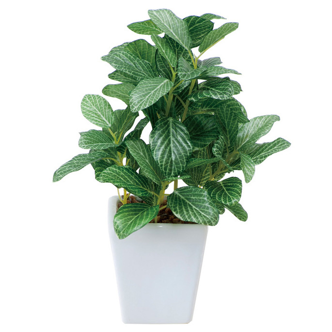 フィットニアポット (人工観葉植物) 高さ19cm 光触媒機能付 (436A20)