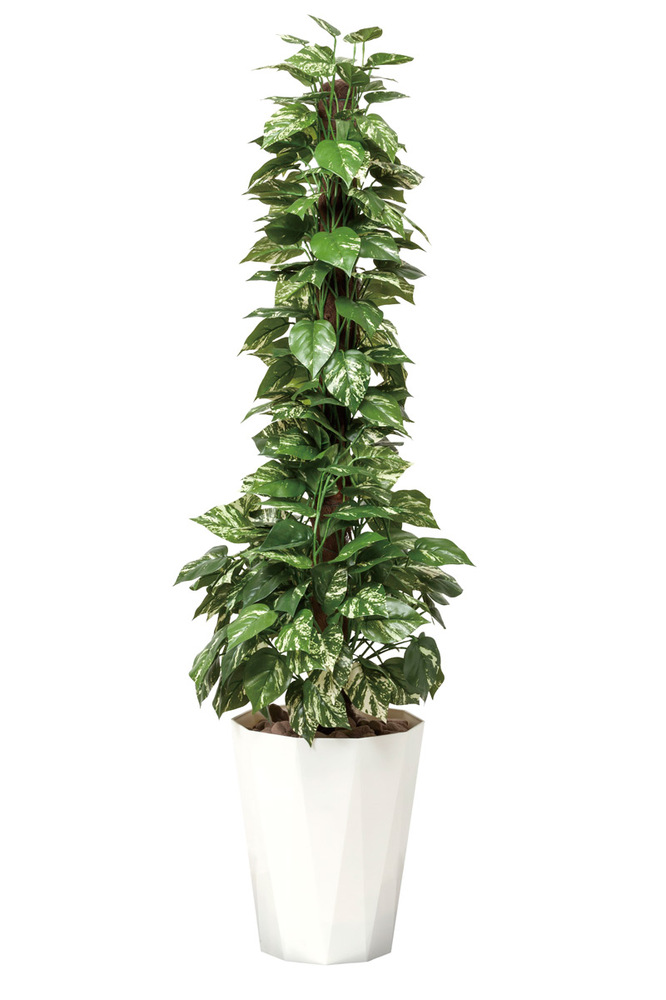 光触媒 人工観葉植物 ポトス1.5 (高さ150cm)