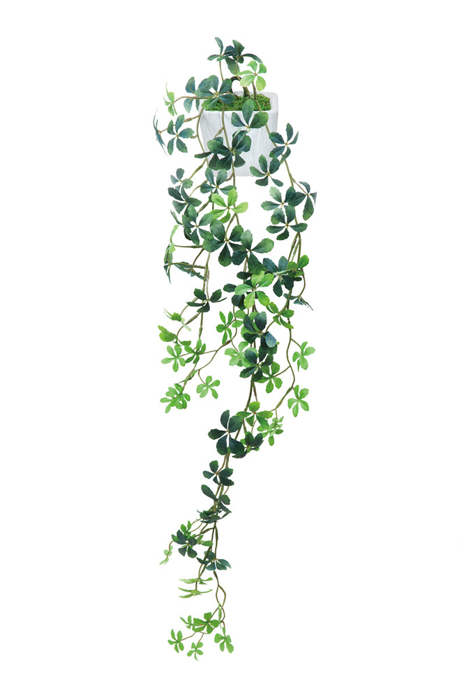 壁掛けシュガーバイン 人工観葉植物 高さ72cm 光触媒機能付 528e60 店舗用品通販のサインモール