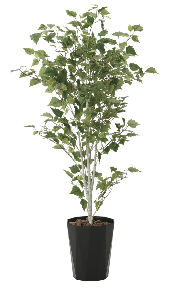 【送料無料】白樺1.4 (人工観葉植物) 高さ140cm 光触媒機能付 (607A270)