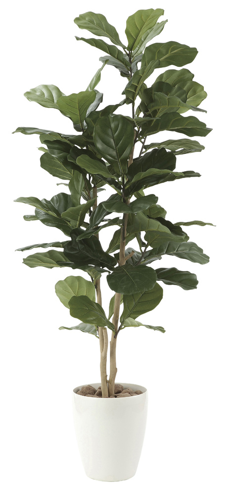 光触媒 人工観葉植物 カシワバゴム1.35 (高さ135cm)