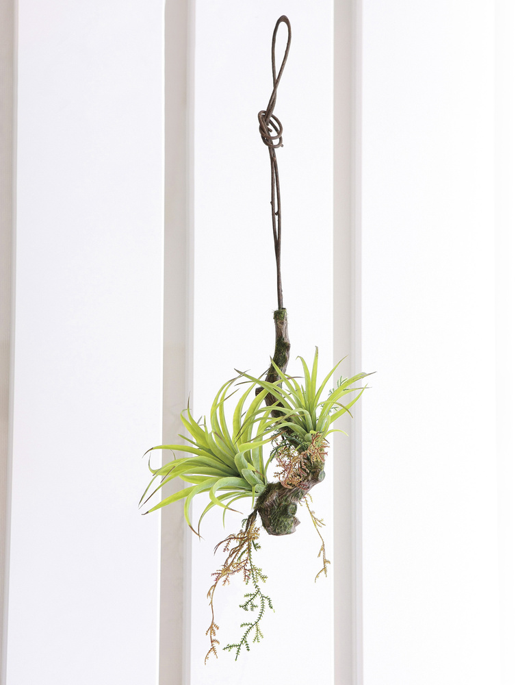 光触媒 人工観葉植物 エアープランツW(ポリ製) (高さ54cm)
