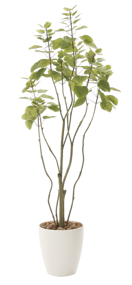 【送料無料】フィカスブランチツリー1.3 (人工観葉植物) 高さ130cm 光触媒機能付 (723A180)