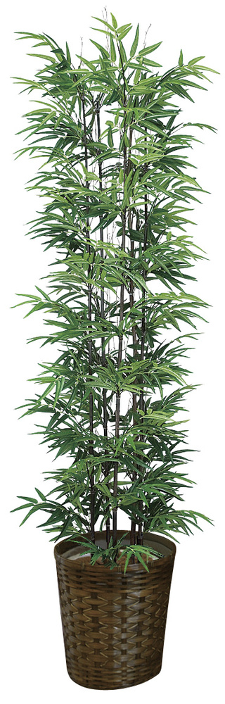 光触媒 人工観葉植物 黒竹 1.8(幹:天然黒竹) (高さ180cm)