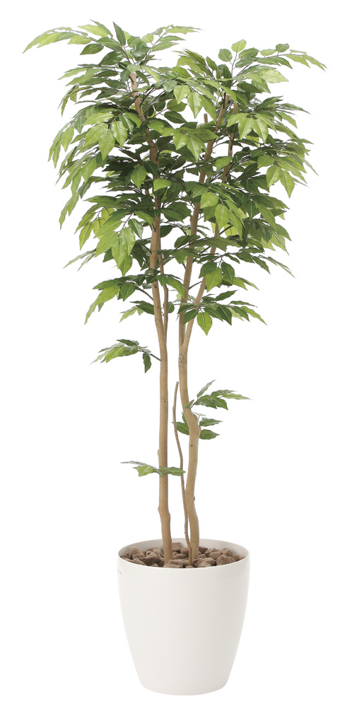 光触媒 人工観葉植物 ケヤキ1.8 (高さ180cm)