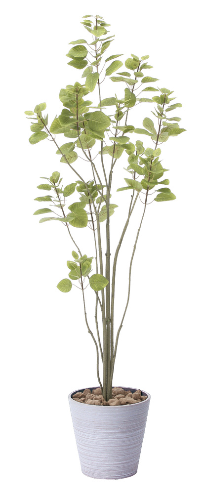 光触媒 人工観葉植物 フィカスブランチツリー1.7 (高さ170cm)