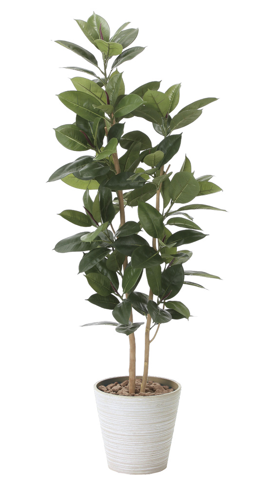 光触媒 人工観葉植物 ゴムの木1.6 (高さ160cm)