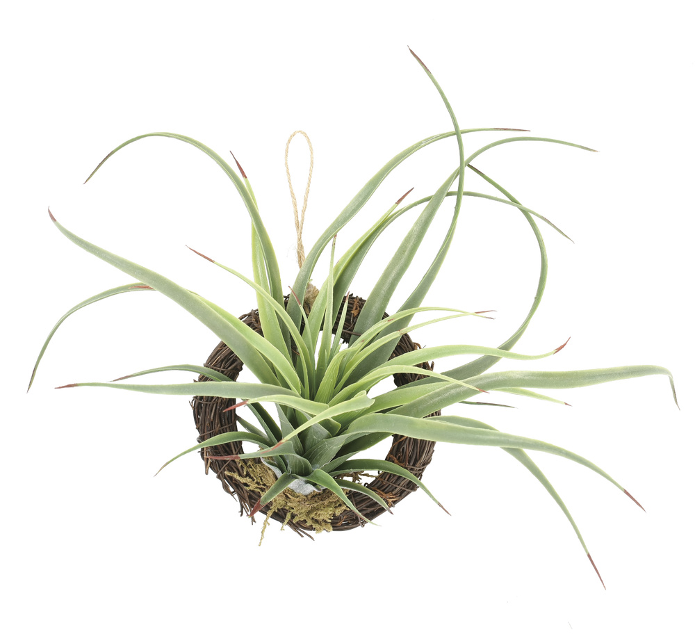 エアープランツr ポリ製 人工観葉植物 高さ19cm 光触媒機能付 866a25 店舗用品通販のサインモール エアープランツr ポリ製 人工観葉植物 高さ19cm 光触媒機能付 866a25 店舗用品通販のサインモール