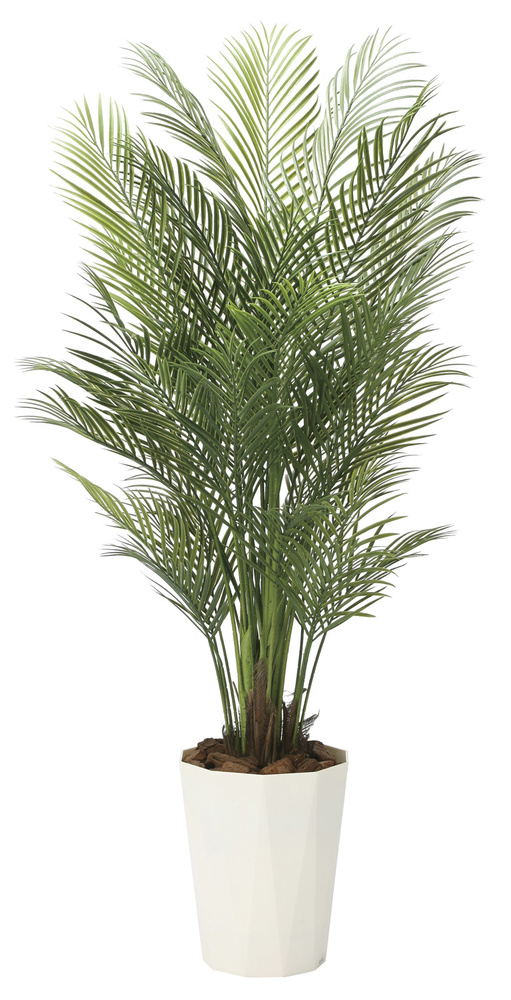 光触媒 人工観葉植物 アレカパーム1.7(ポリ製) (高さ170cm)