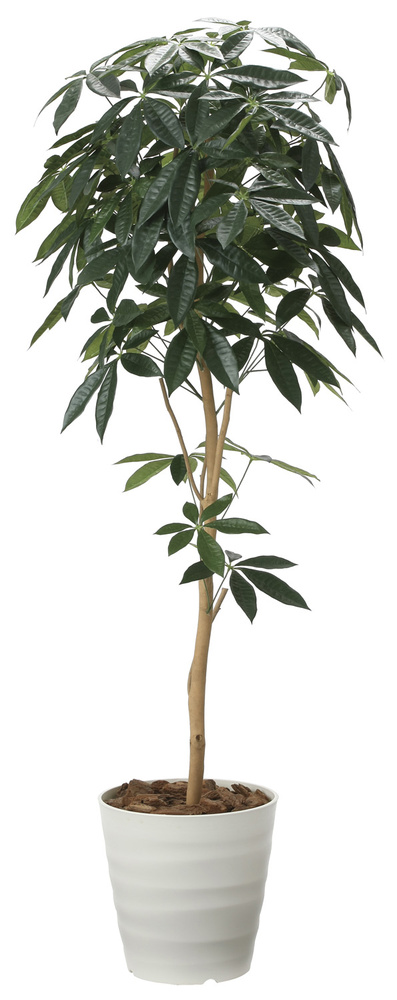 光触媒 人工観葉植物 デザインパキラ1.6 (高さ160cm)