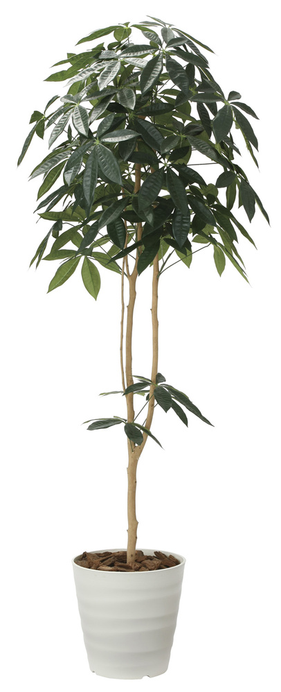 光触媒 人工観葉植物 デザインパキラ1.8 (高さ180cm)