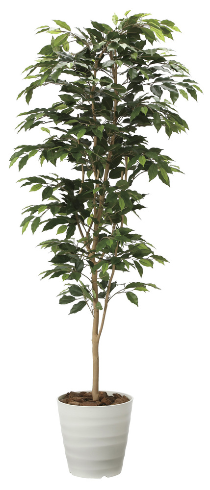 光触媒 人工観葉植物 ベンジャミン1.8 (高さ180cm)