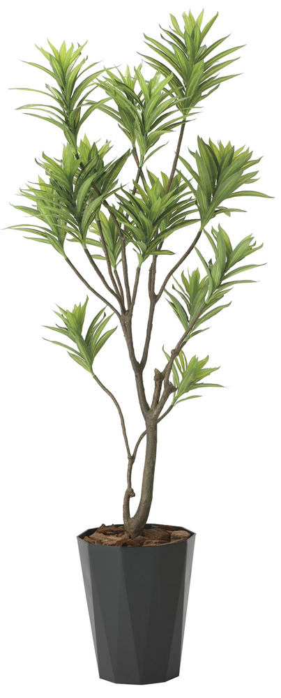 光触媒 人工観葉植物 フレッシュドラセナ1.8 (高さ180cm)