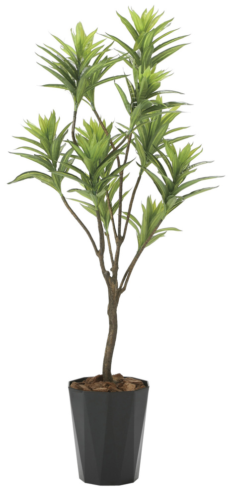 光触媒 人工観葉植物 フレッシュドラセナ1.45 (高さ145cm)