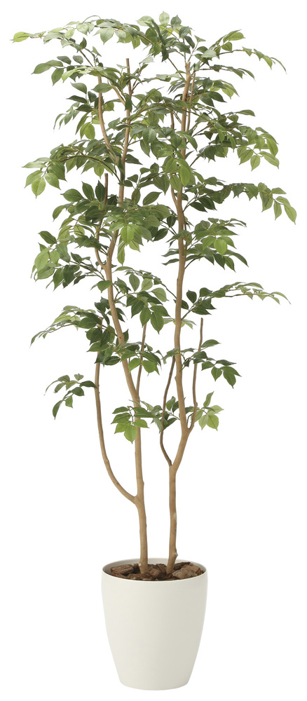 光触媒 人工観葉植物 マウンテンアッシュ1.6 (高さ160cm)