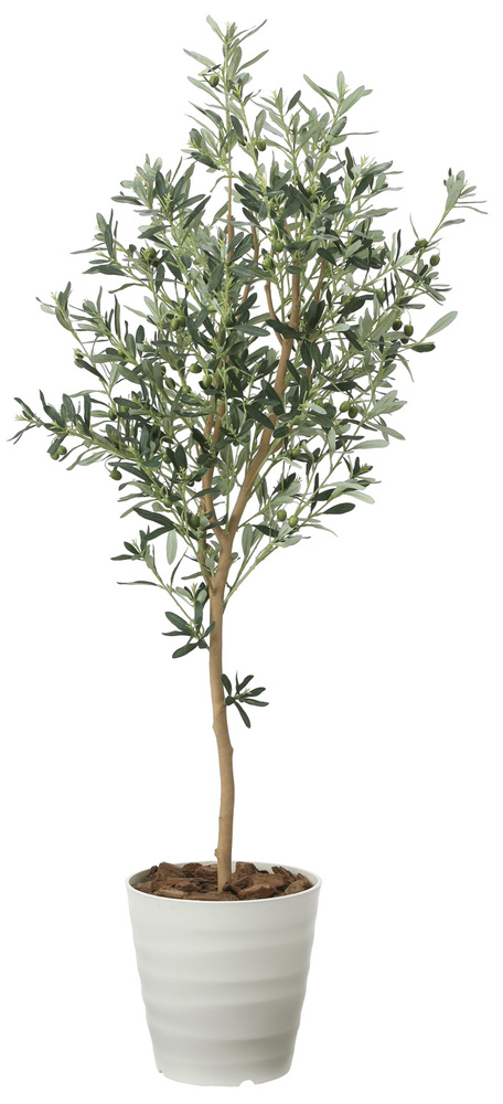 光触媒 人工観葉植物 オリーブツリー 1.6 (高さ160cm)