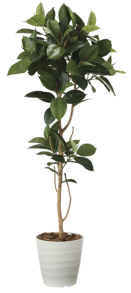 光触媒 人工観葉植物 ゴムの木1.8 (高さ180cm)