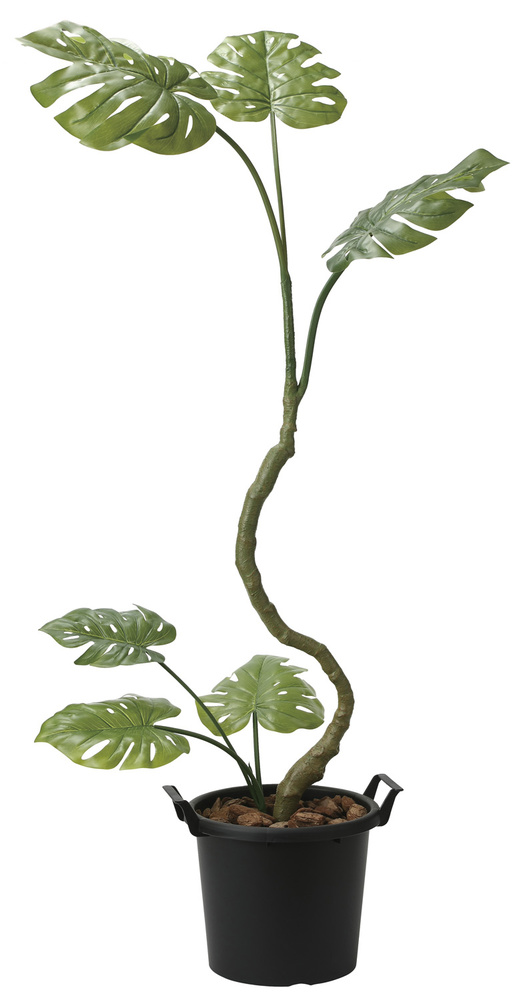 光触媒 人工観葉植物 インテリアモンステラ1.7 (高さ170cm)