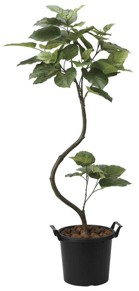 光触媒 人工観葉植物 インテリアウンベラータ1.65 (高さ165cm)