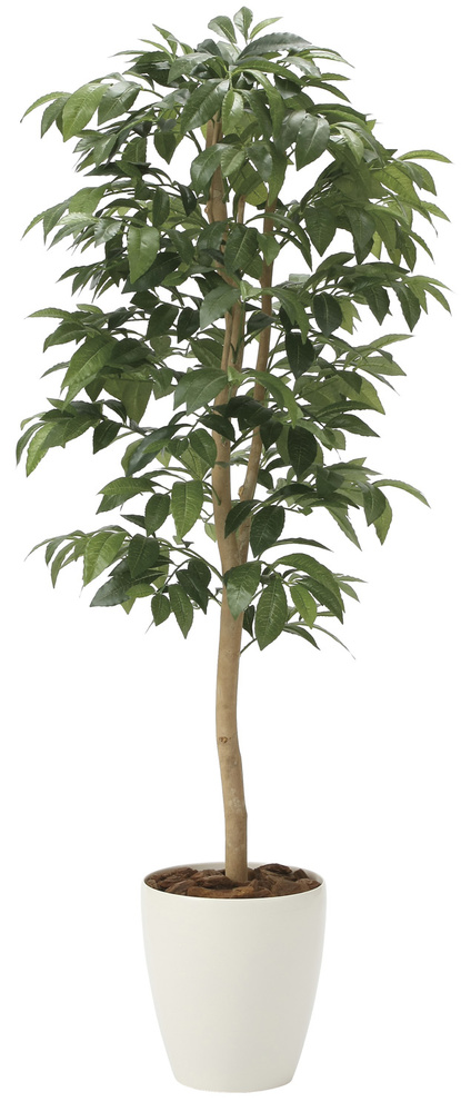 光触媒 人工観葉植物 アルデシア(万両)1.3 (高さ130cm)