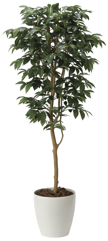 光触媒 人工観葉植物 アルデシア(万両)1.6 (高さ160cm)