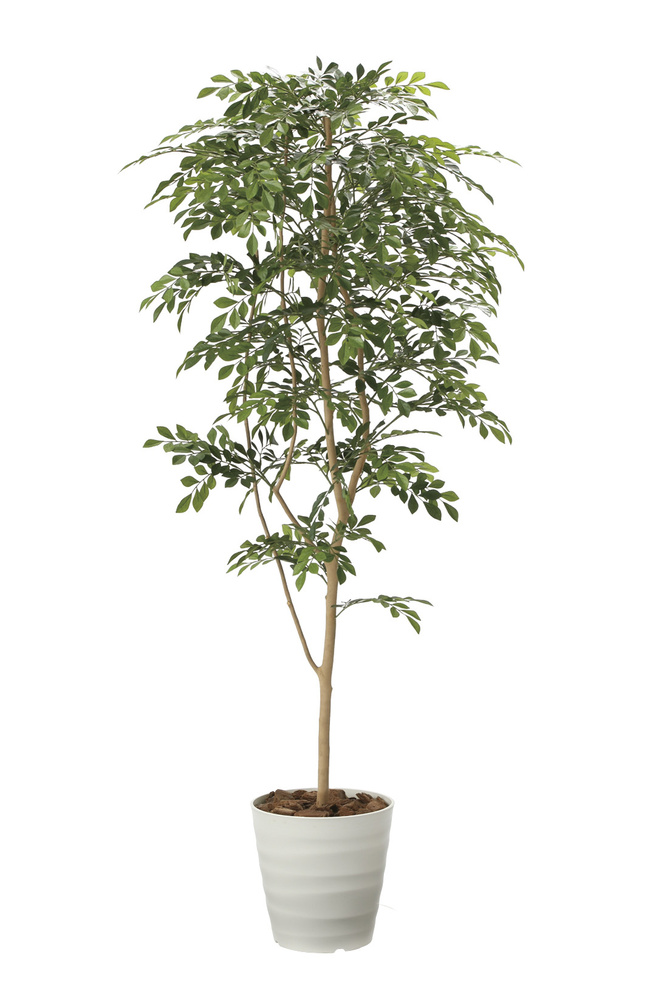 光触媒 人工観葉植物 トネリコ1.8 (高さ180cm)