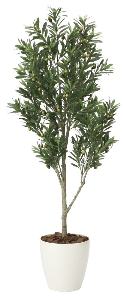 光触媒 人工観葉植物 オリーブツリー 1.65 (高さ165cm)