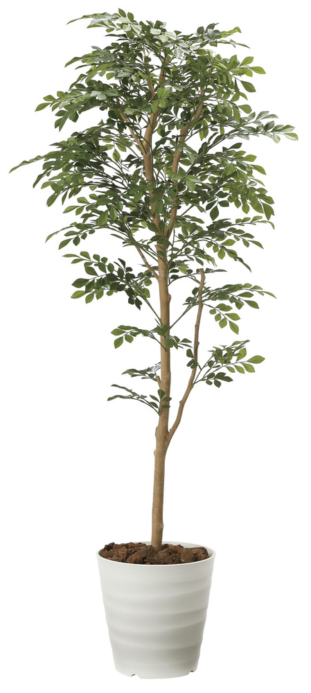 光触媒 人工観葉植物 トネリコ 1.6 (高さ160cm) - 店舗用品通販の