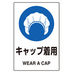 JIS規格ステッカー 5枚組 キャップ着用 (803-60A)