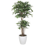 光触媒 人工観葉植物 トロピカルベンジャミン 1.8 (高さ180cm)