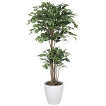光触媒 人工観葉植物 造花 トロピカルベンジャミン 1.8 (高さ180cm)