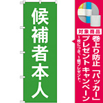 選挙のぼり旗 候補者本人 (GNB-1919) [プレゼント付]